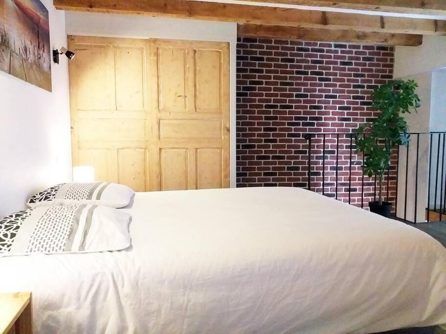 Le Paisible - Gare - Duplex - Garage Prive - Netflix Grenoble