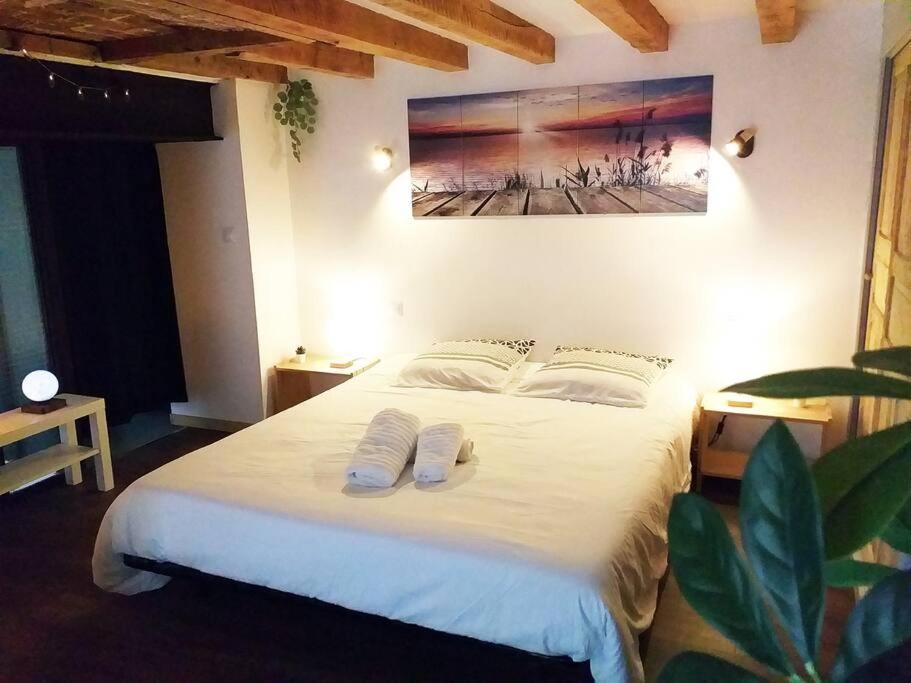 Le Paisible - Gare - Duplex - Garage Prive - Netflix