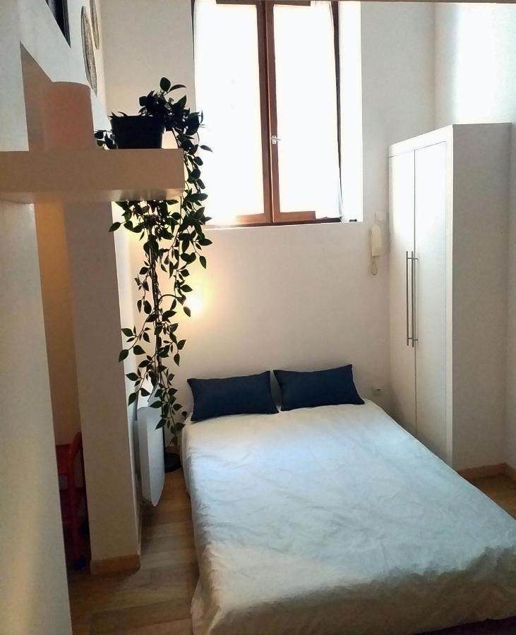 Le Paisible - Gare - Duplex - Garage Prive - Netflix Appartement Grenoble