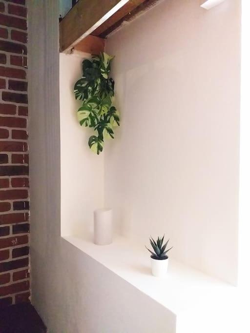 Apartment Le Paisible - Gare - Duplex - Garage Prive - Netflix Grenoble