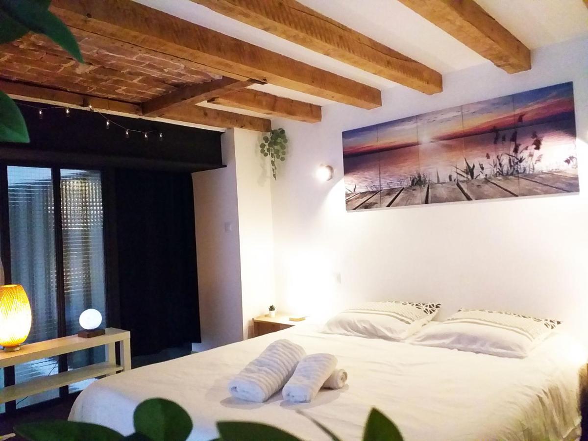 Le Paisible - Gare - Duplex - Garage Prive - Netflix * Grenoble