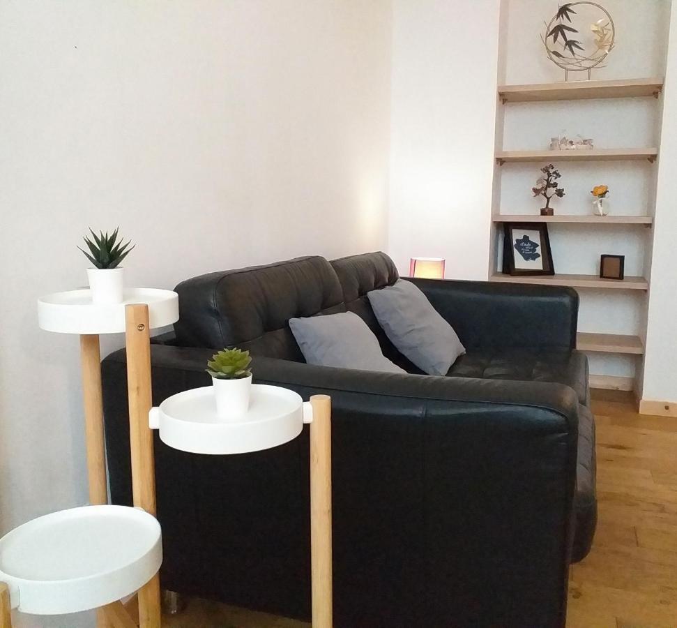 Apartment Le Paisible - Gare - Duplex - Garage Prive - Netflix